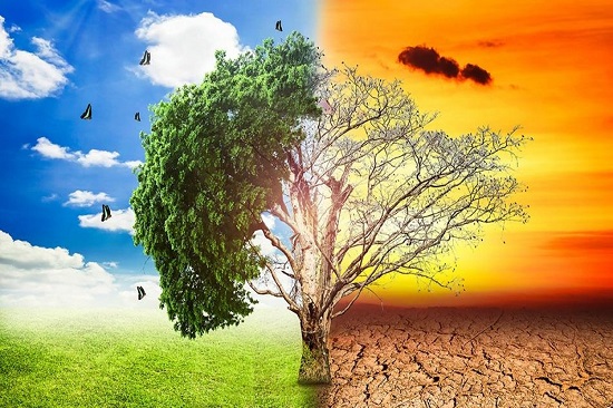 (Very important: for researchers in the field of climate change) Flood and rain statistics for March 2024